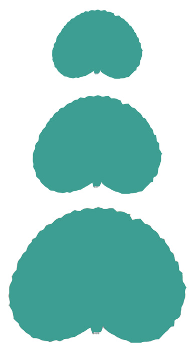 Lily Pad Template