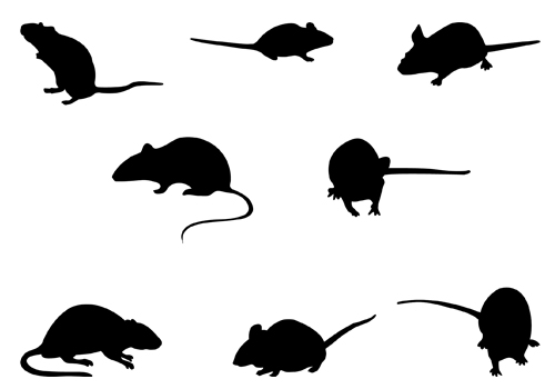 1000+ images about animals silhouette-vector | Vector ...