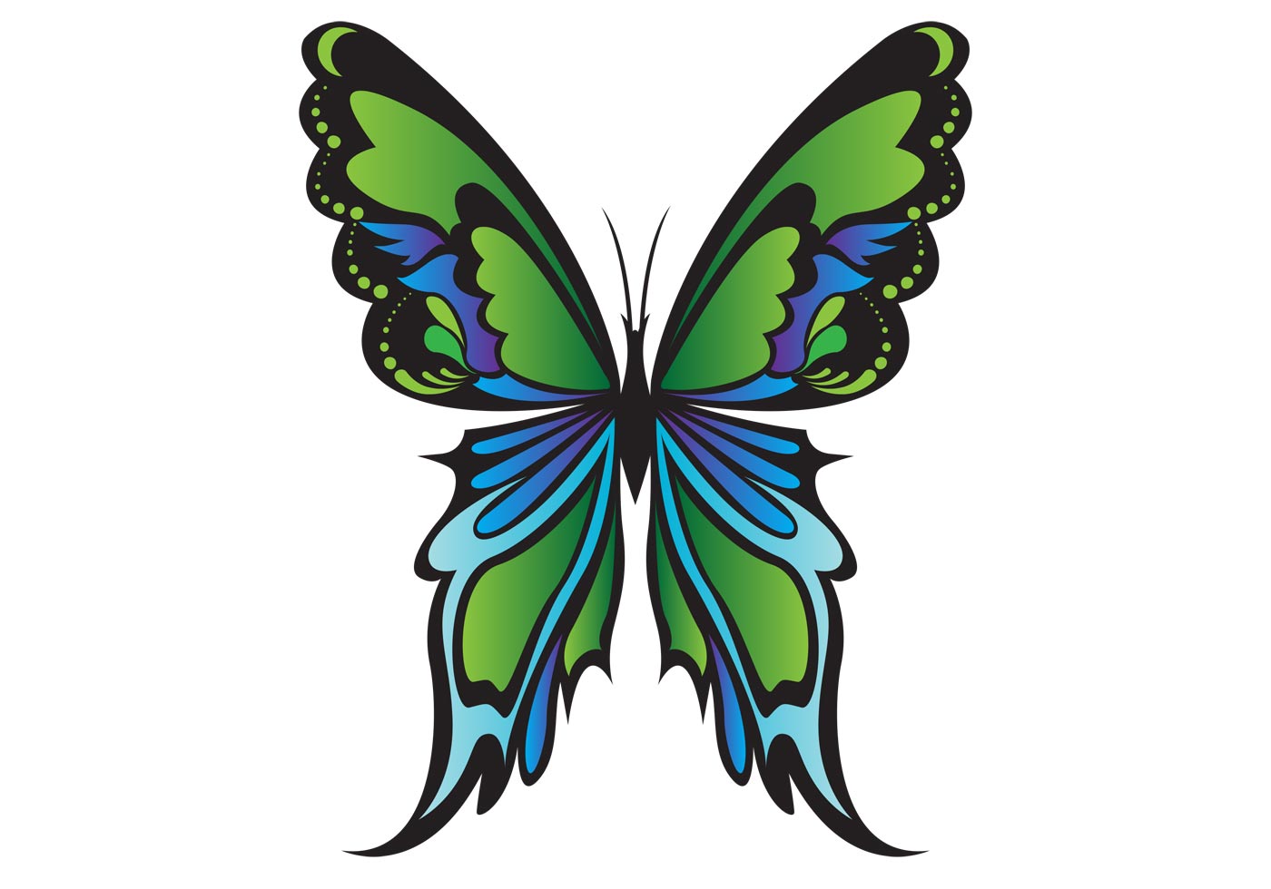 Vector butterfly - Download Free Vector Art, Stock Graphics & Images