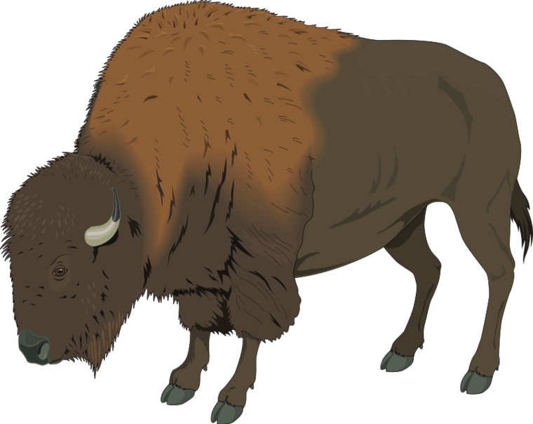 Bison Clip Art Vector Online Royalty Free & Public Domain Clipart ...