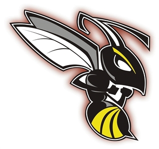 Hornet Logo
