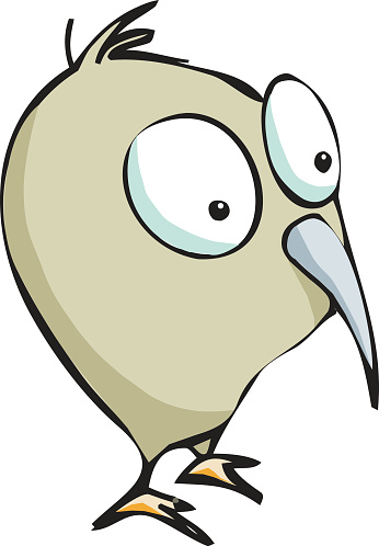 Drawing Of The Cute Kiwi Bird Clip Art, Vector Images ...