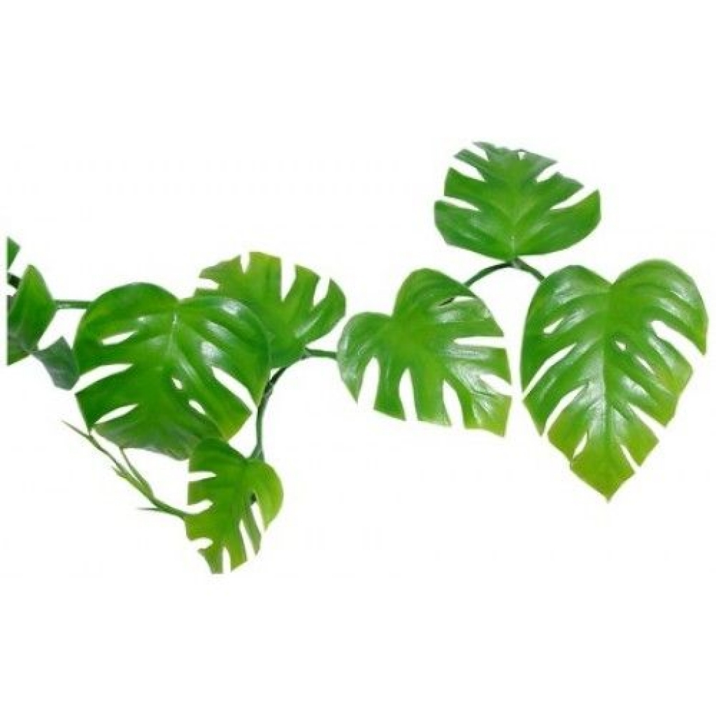 jungle flower clip art jungle leaves clip art httpimgarcadeBest Of ...