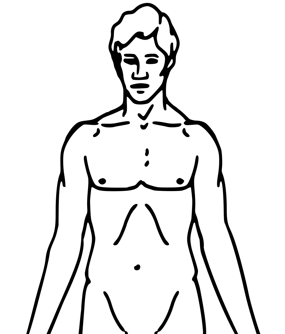 File:Pioneer plaque man upper body as diagram template.png ...