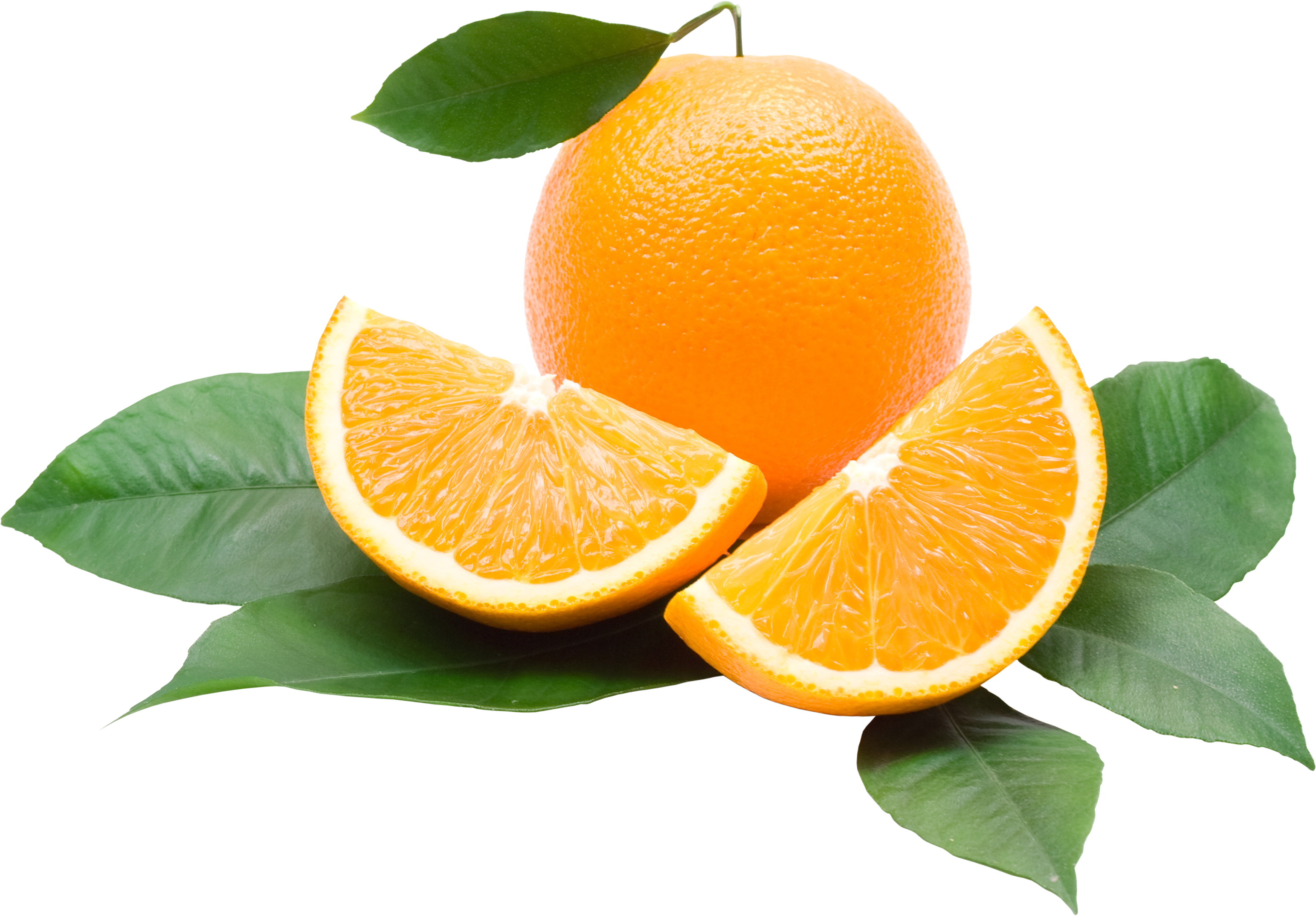 Orange PNG image free download
