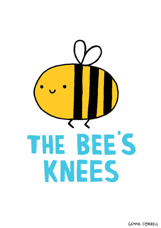 On not having the bee's knees and saying goodbye to soccer | Fit ...