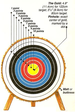 Archery Targets | Archery, Recurve ...