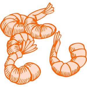 Free Shrimp Clipart Pictures - Clipartix