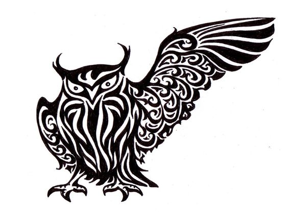 I could see the curve of this wing on the flying owl tattoo that I ...