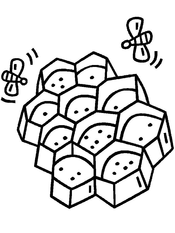 Best Photos of Honeycomb Coloring Page - Printable Honey Bee and ...