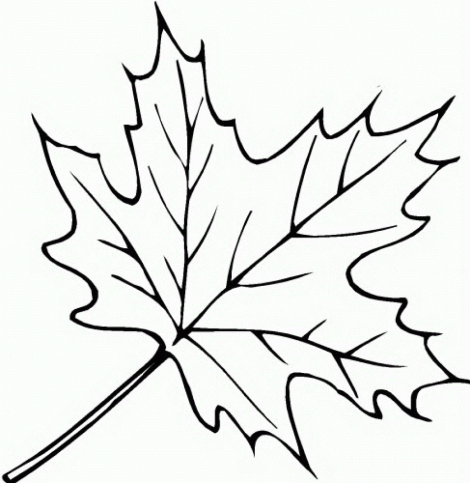 Large Leaf Template - AZ Coloring Pages