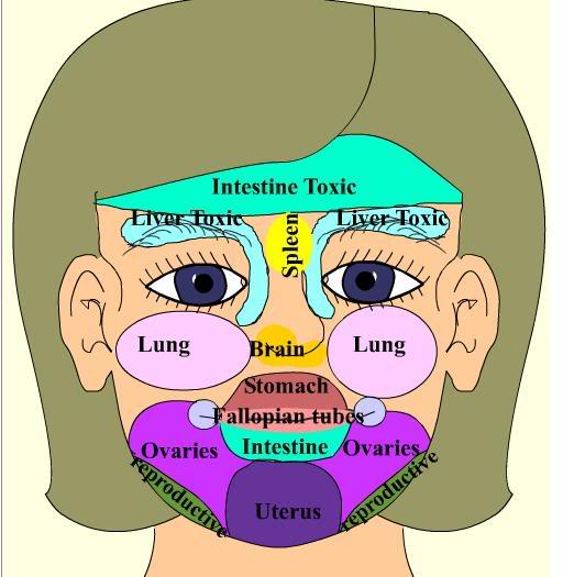 Acne Face Mapping, What Your Body Is Telling You. - Diet ...