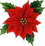 Winter Carnival Greens Sale — Stoneleigh Elementary School PTA