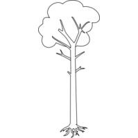 Tree Outline clip art free vector