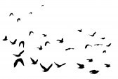 Tattoos