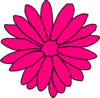 Dahlia Pink clip art - vector clip art online, royalty free ...