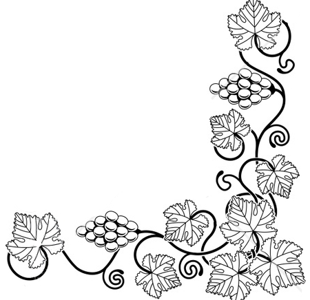 Grape Vine Drawing - ClipArt Best