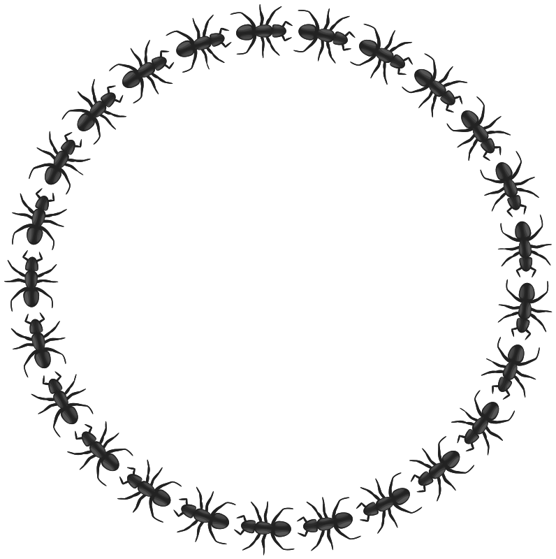Clipart Ant Border Circle