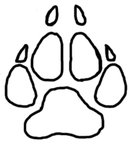 Wolf Paw Print Line Art