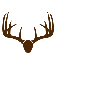 Brown Deer Skull Mount clipart, cliparts of Brown Deer Skull Mount ...