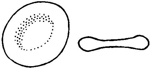 Basic Malaria Microscopy (part I and II) (WHO - OMS, 1991, 72 p ...