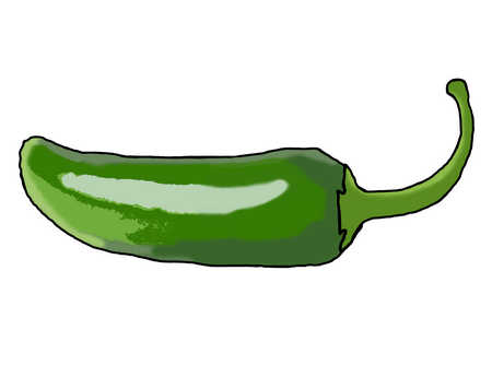 Green Chili, Green Chili exporters in India, Indian Green Chili ...