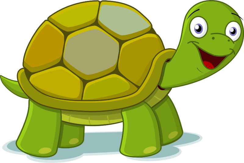 Cute tortoise clipart