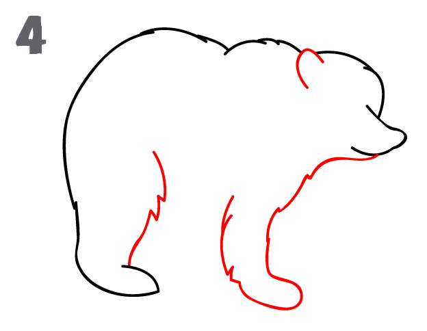 How To Draw a Bear - Step-