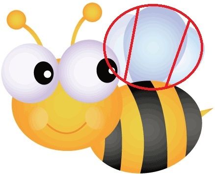 Bee Wing Stencil - ClipArt Best