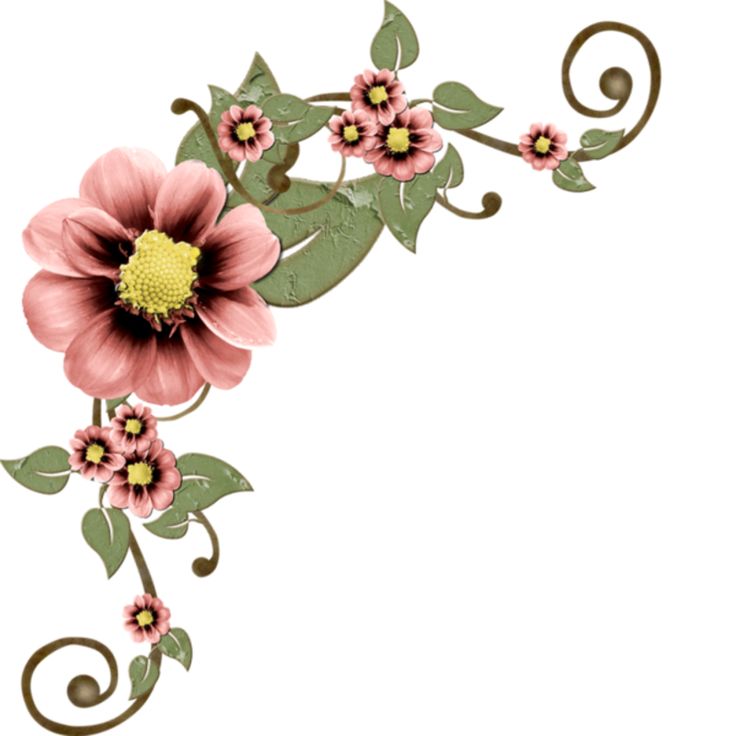 1000+ images about CALCOMANIAS | Coins, Floral border ...