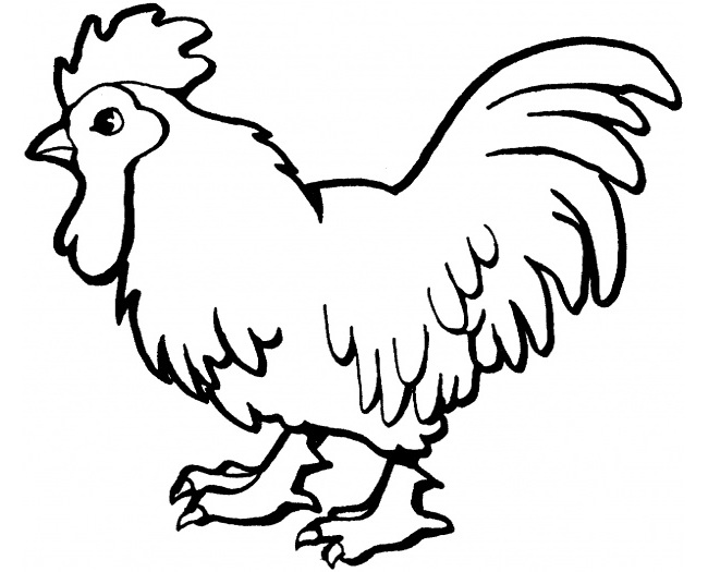Chicken Template - Animal Templates | Free & Premium Templates