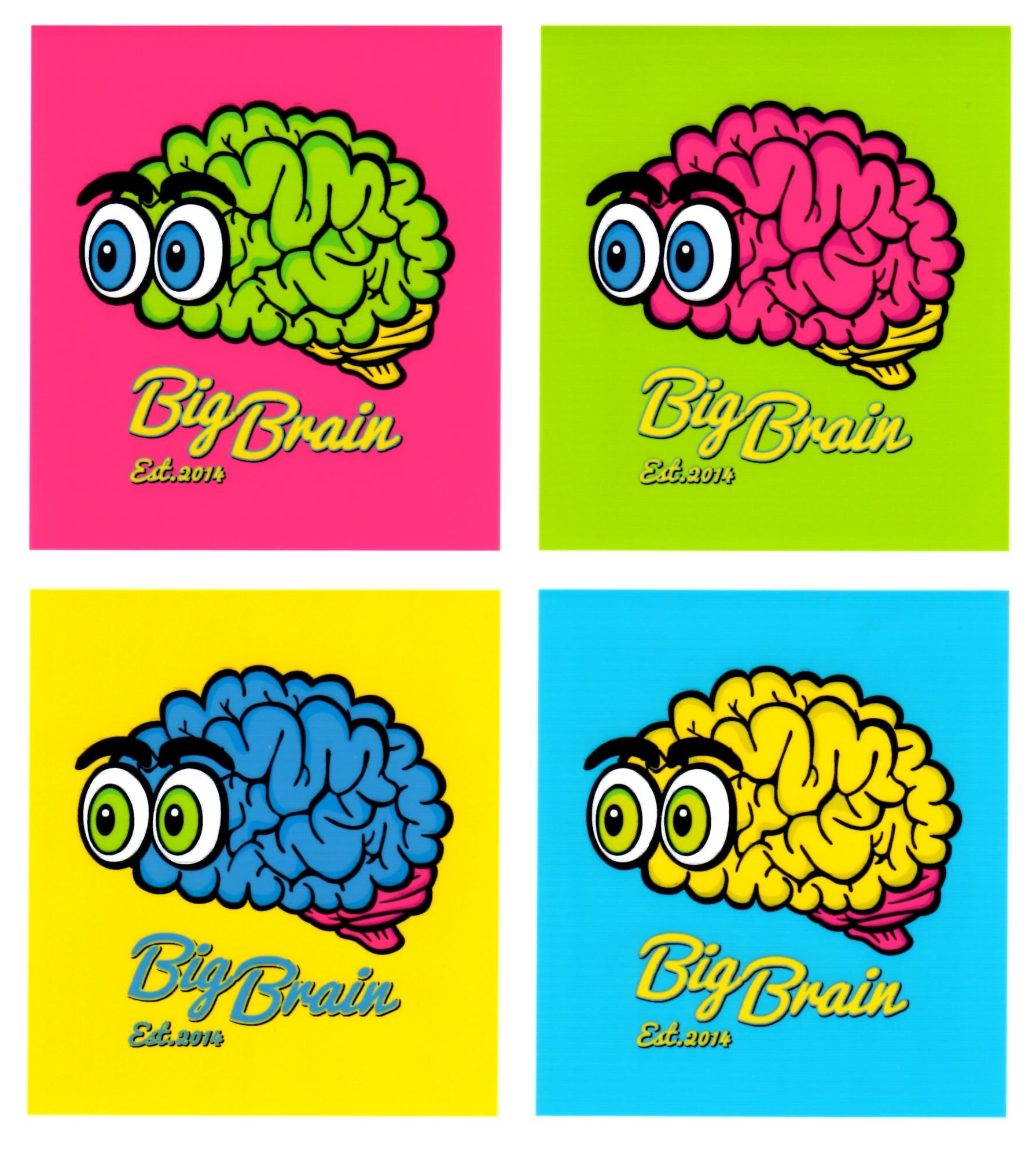 BIG BRAIN PRODUCTS, LLC -
