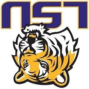 1000+ images about LSU and Saints logos