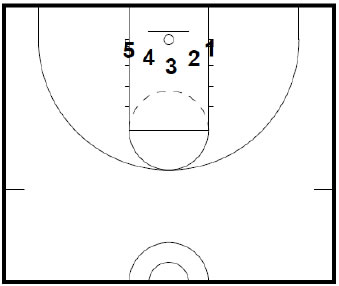 Basketball Half Court Diagram - ClipArt Best