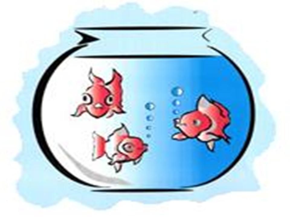 Icebreakers | Teaching and Learning in the Digital Age