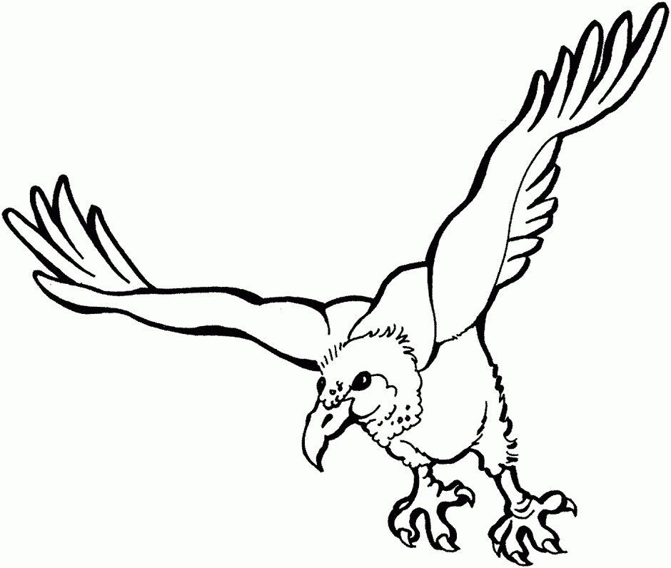 Vulture Clip Art - Tumundografico