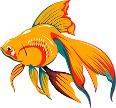 Free Goldfish Clipart