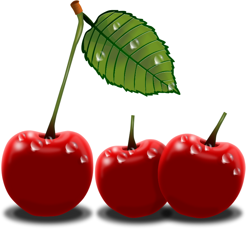 Free to Use & Public Domain Cherries Clip Art