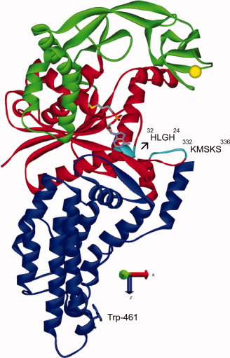 Figure 1: Cartoon representation of the monomeric form of E. coli ...