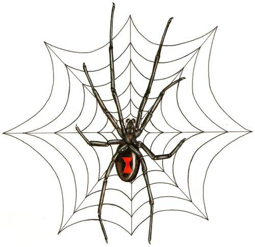 Spider Web Tattoo Designs, Spider Web Design Cake Ideas and ...