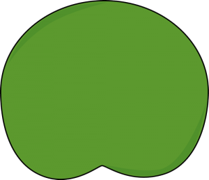 Lily pad clipart outline