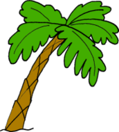 Pictures Of Cartoon Palm Trees Clipart - Free to use Clip Art Resource
