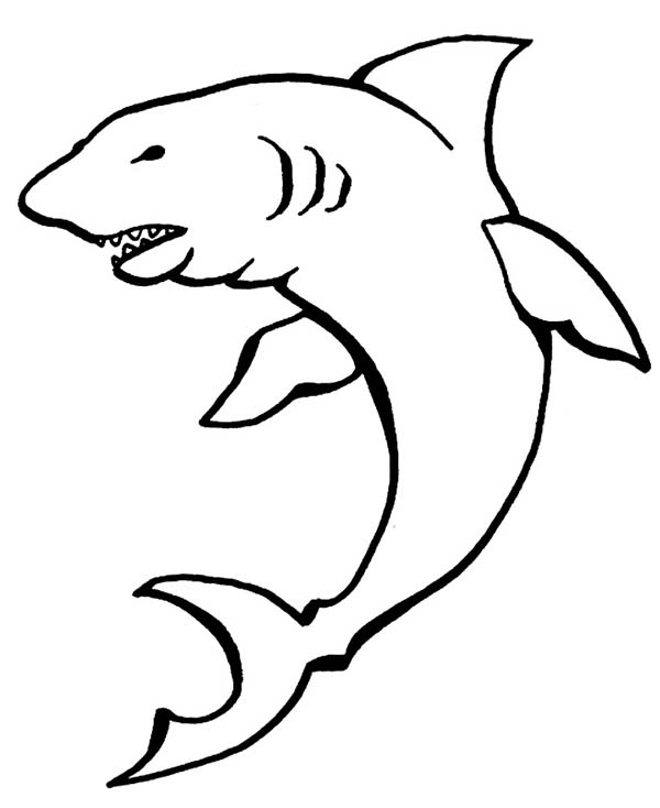 A Drawing of Cookiecutter Shark Coloring Page | Kids Play Color