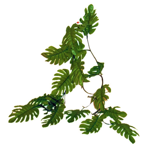 Jungle Vine Clip Art – Clipart Free Download