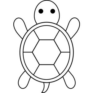 1000+ images about pumpkin | Sea turtles, Vector ...