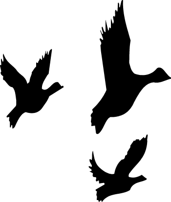 Flying Duck Silhouette - Free Clipart Images