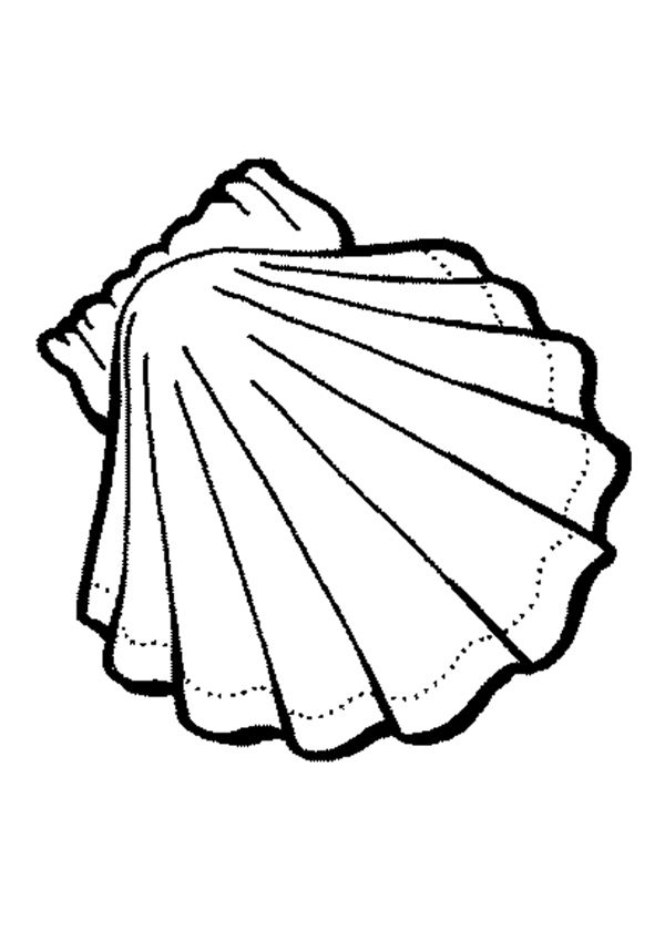 shell coloring page | party ideas | Pinterest