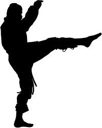 Ninja Kick Silhouette | Silhouette of Ninja Kick