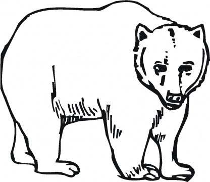 bear silhouette Colouring Pages