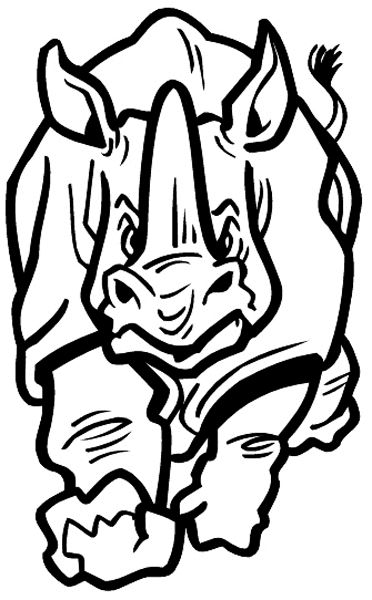 1000+ images about Rhino